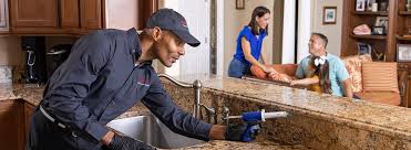 Best Pest Control for Restaurants and Food Service  in Wood Dale, IL