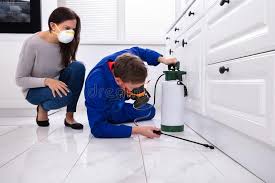 Best Emergency Pest Control  in Wood Dale, IL